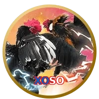 XOSO